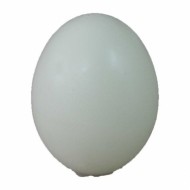 계란비누베이스(하양)